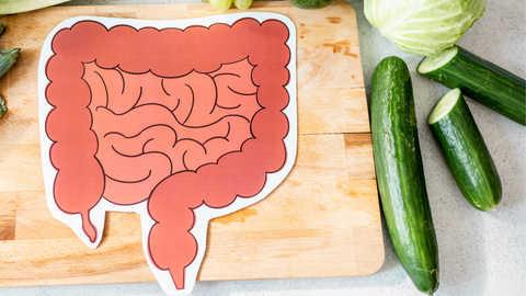 AIP Gut Health