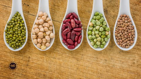 Why Aren’t Legumes Allowed on the AIP Diet?