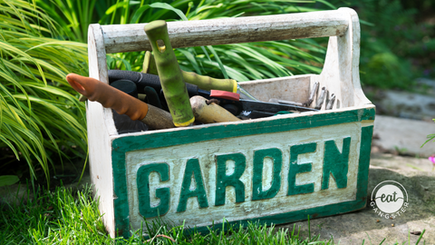 Growing an AIP-Friendly Garden for Optimal Health