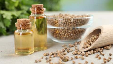 Why Seed Oils Are Excluded on AIP (And What to Cook With Instead)