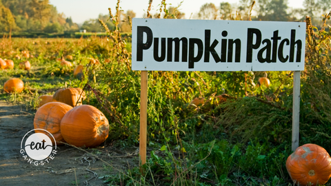 Pumpkin Patches to Football Games: Thriving This Fall on AIP